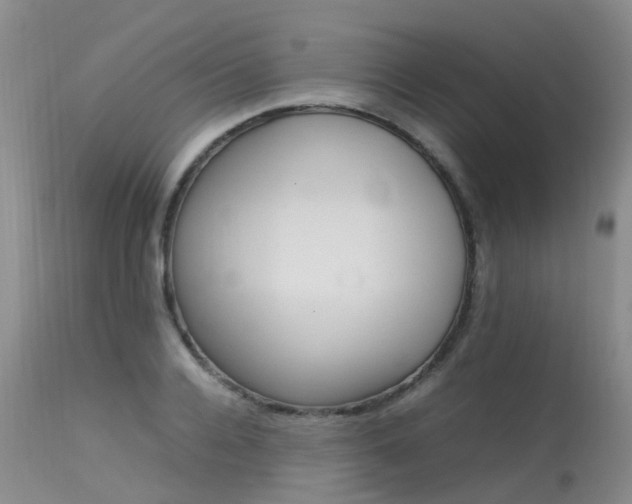 X0000113620936200909251203