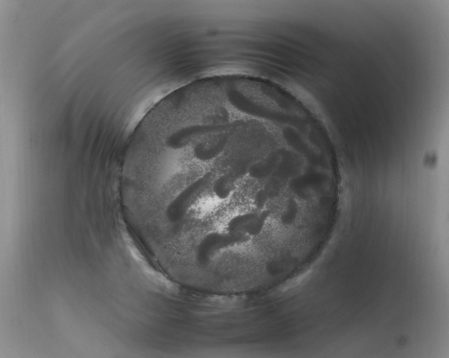 X0000113620937200909251203