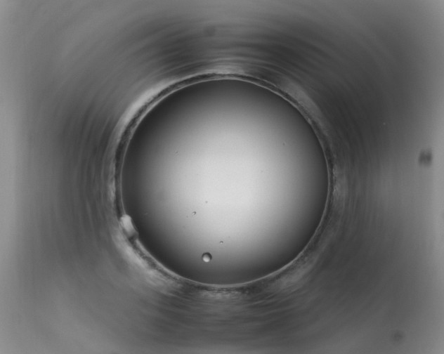 X0000113620939200909251203