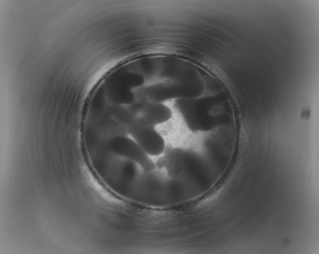 X0000113620941200909251203