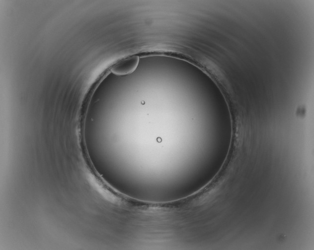 X0000113620942200909251203