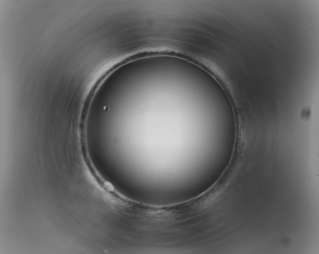 X0000113620943200909251203