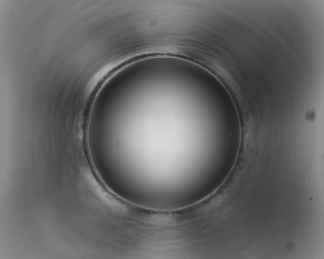 X0000113620944200909251203