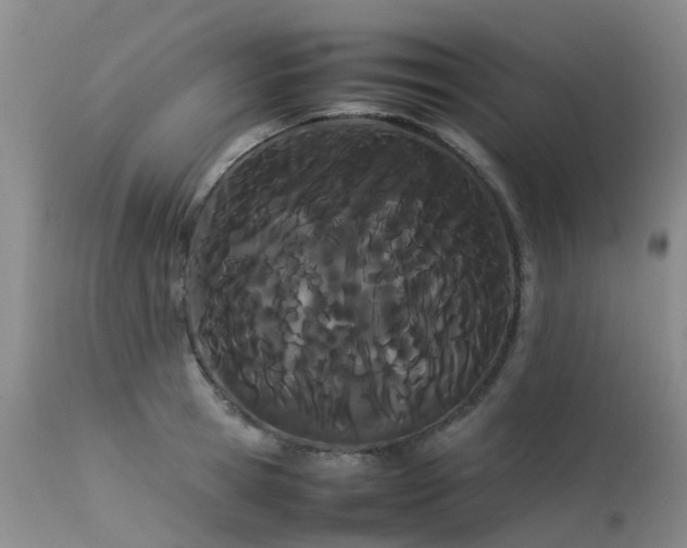 X0000113620945200909251203