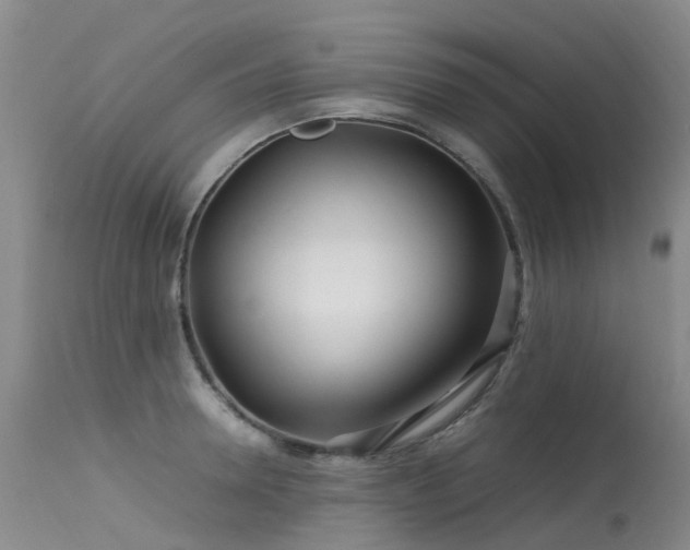 X0000113620946200909251203