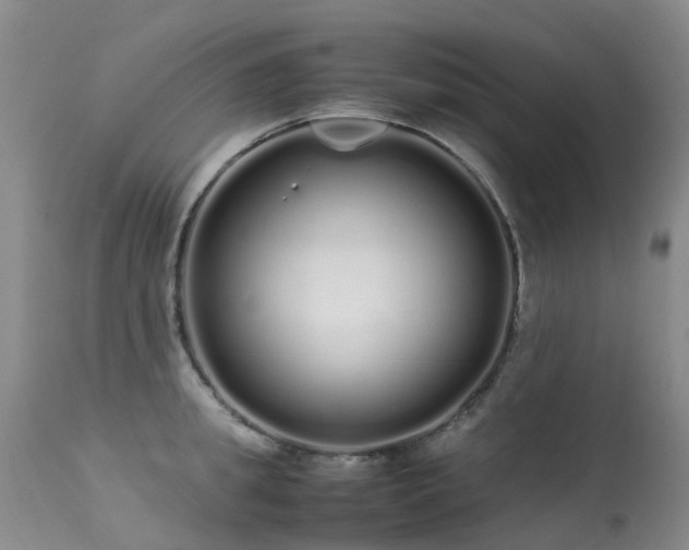 X0000113620949200909251203