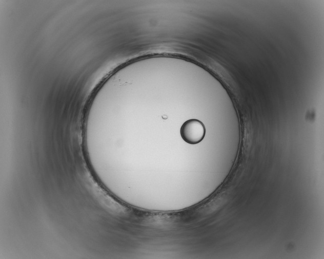 X0000113620950200909251203