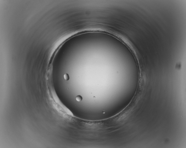 X0000113620951200909251203