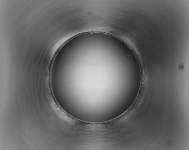 X0000113620952200909251203