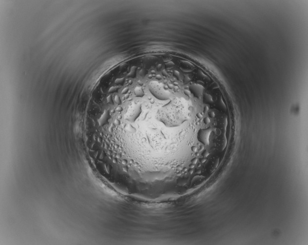 X0000113620953200909251203