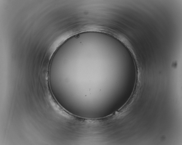 X0000113620954200909251203