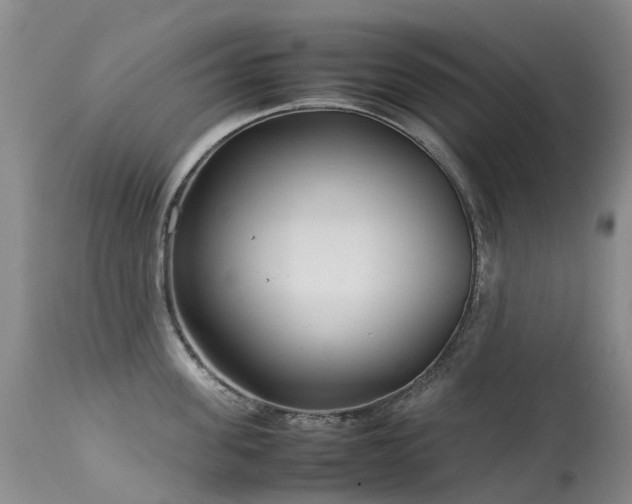 X0000113620955200909251203