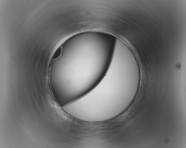 X0000113620956200909251203