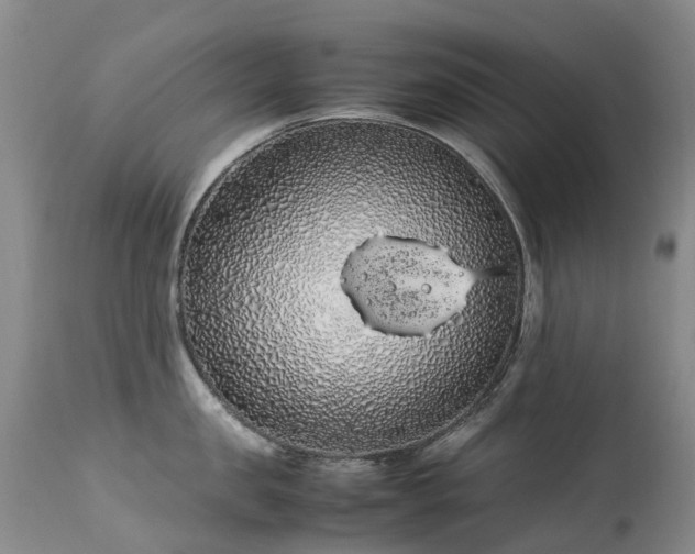 X0000113620957200909251203