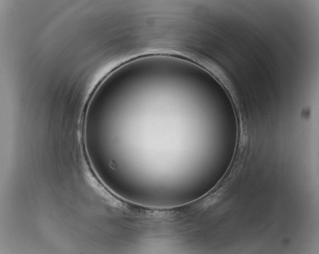 X0000113620958200909251203