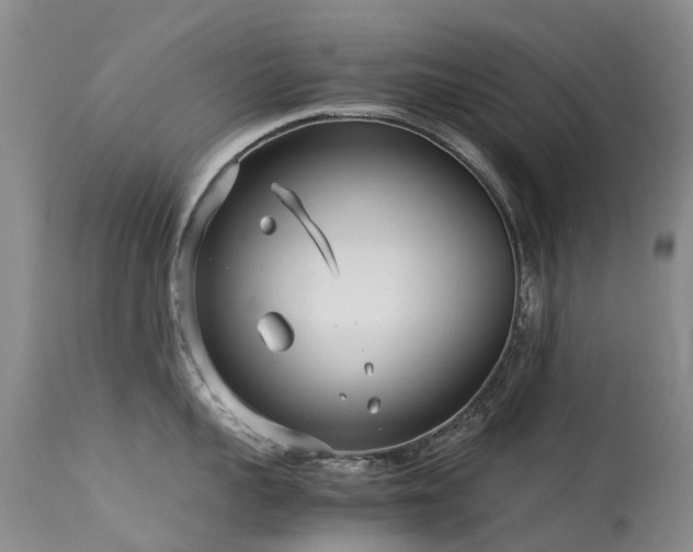 X0000113620959200909251203