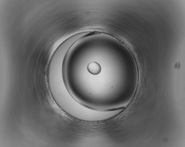 X0000113620960200909251203