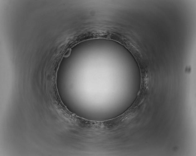 X0000113620961200909251203