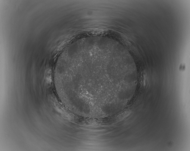 X0000113620962200909251203