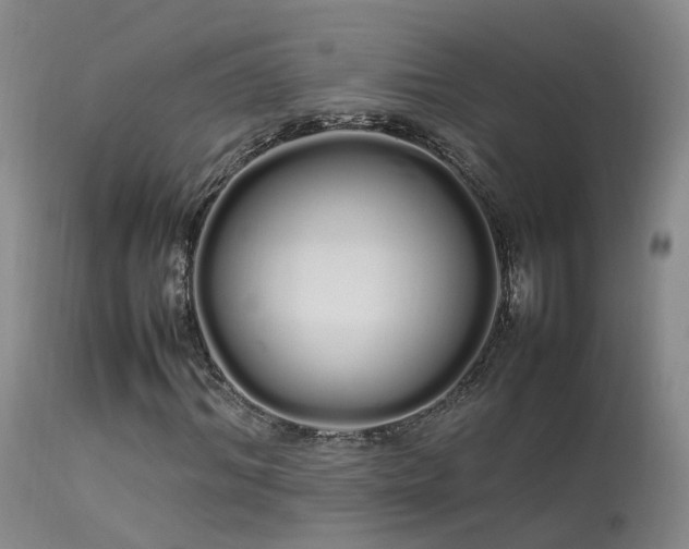 X0000113620964200909251203