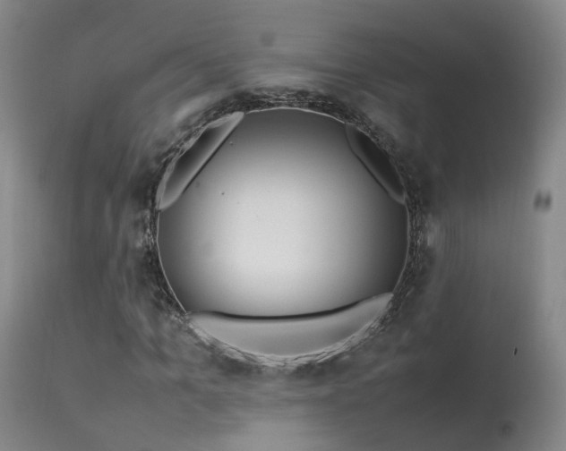 X0000113620965200909251203