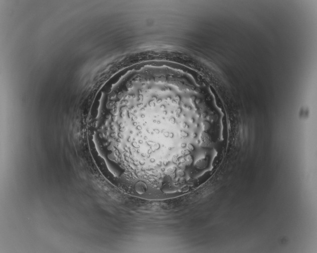 X0000113620966200909251203