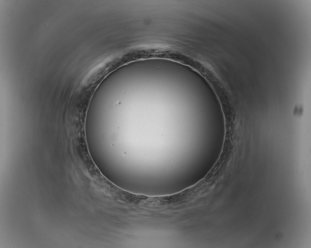 X0000113620967200909251203