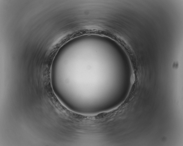 X0000113620968200909251203