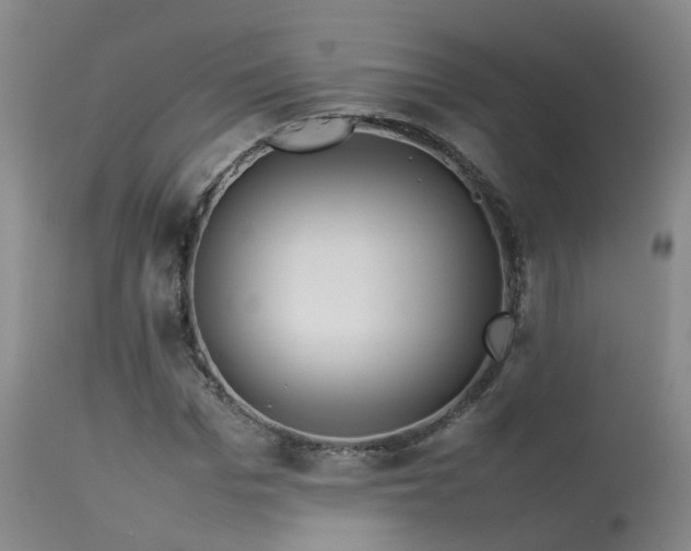 X0000113620969200909251203