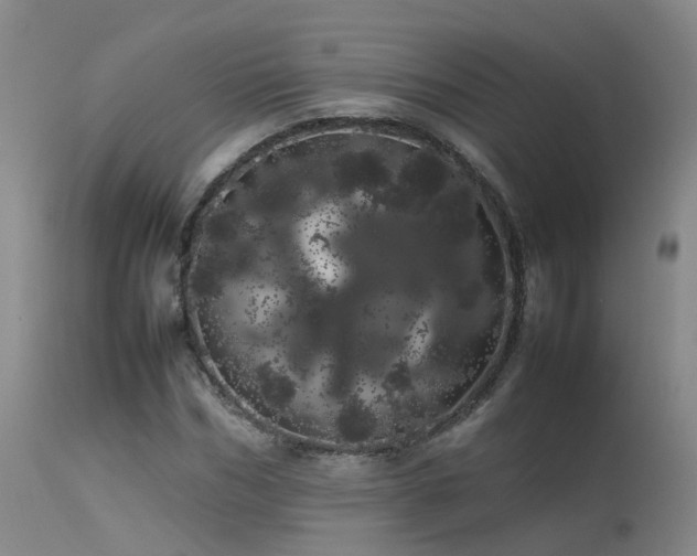 X0000113620970200909251203