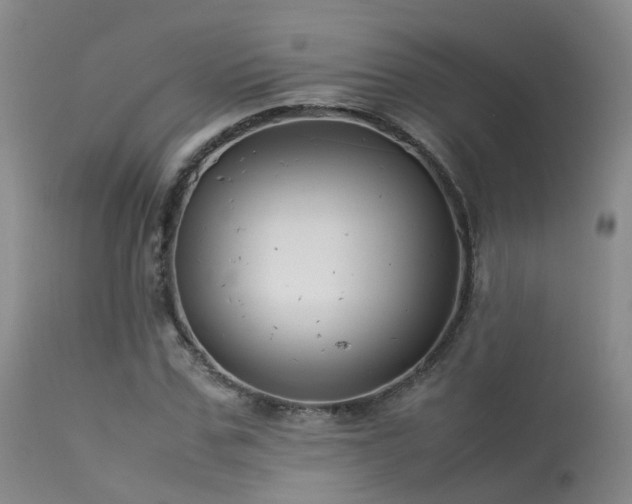 X0000113620971200909251203