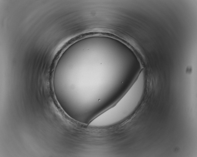 X0000113620972200909251203