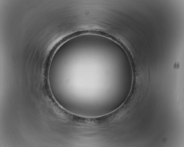 X0000113620975200909251202