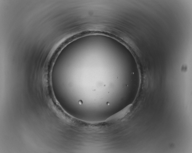 X0000113620976200909251202