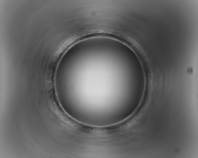 X0000113620977200909251202