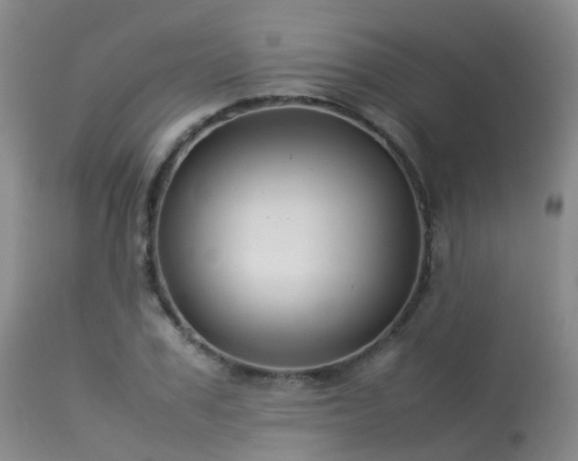 X0000113620979200909251202