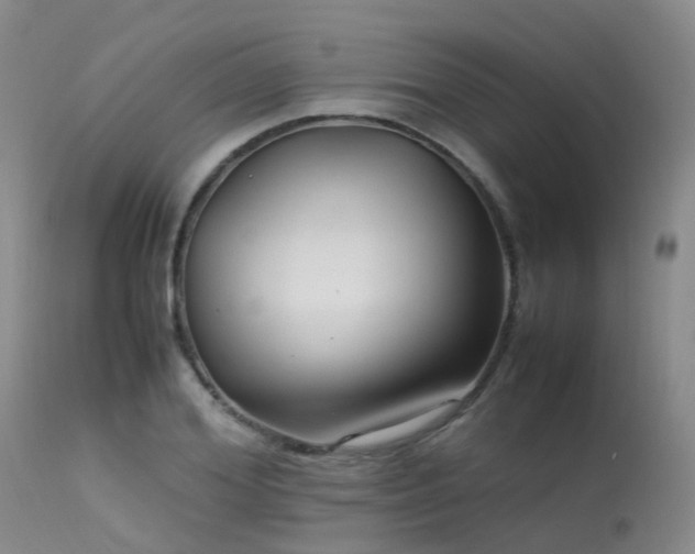 X0000113620980200909251202