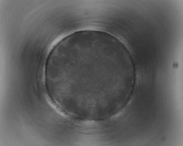 X0000113620982200909251202