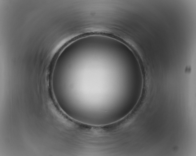 X0000113620983200909251202