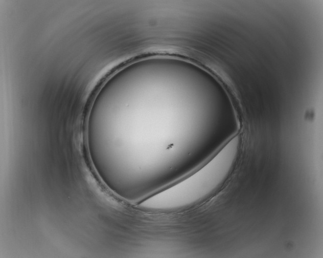 X0000113620984200909251202