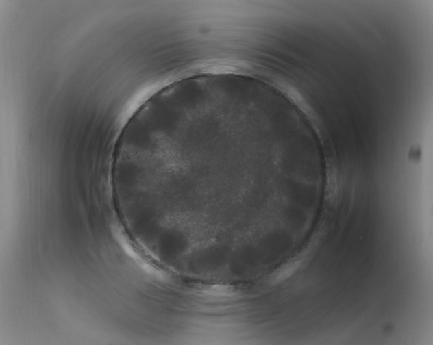 X0000113620986200909251202