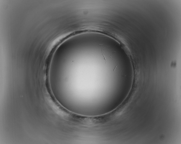 X0000113620987200909251202