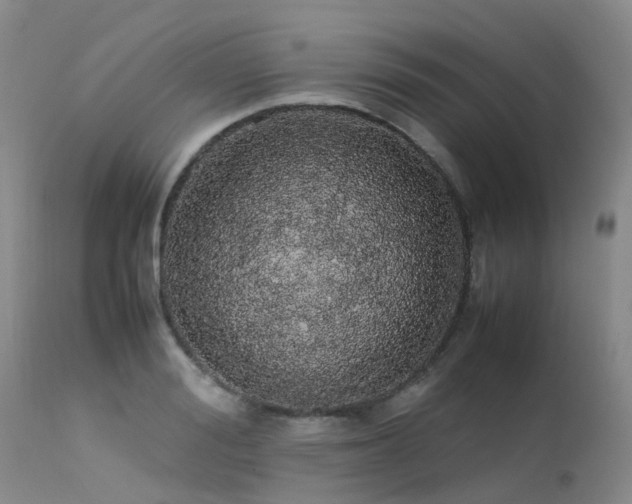 X0000113620988200909251202