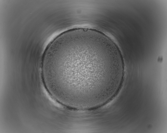 X0000113620989200909251202