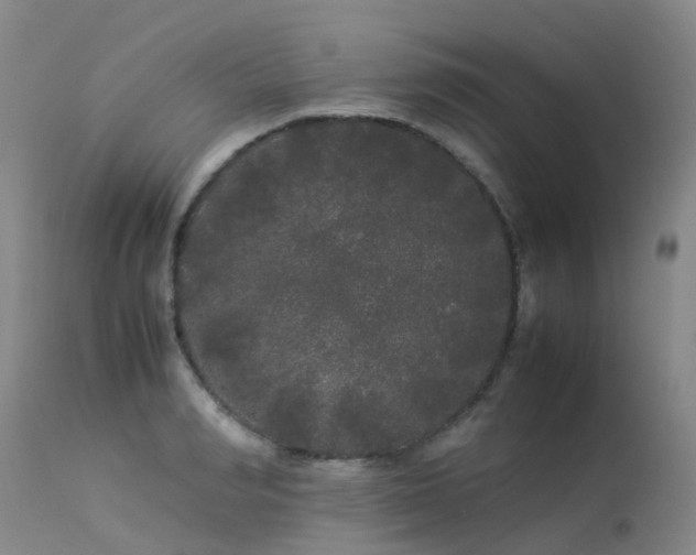 X0000113620990200909251202