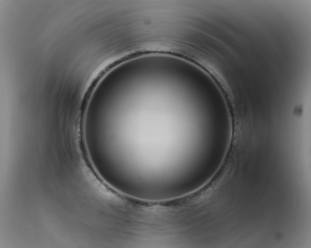 X0000113620992200909251202