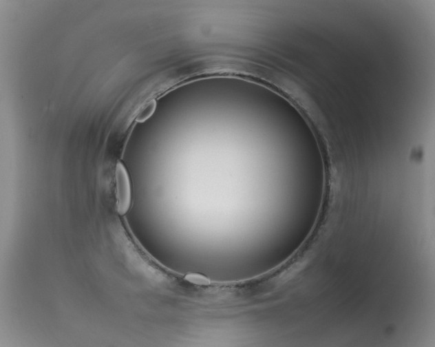 X0000113620993200909251202