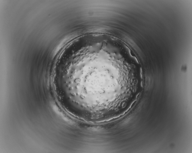 X0000113620994200909251202