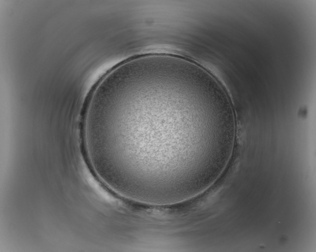 X0000113620995200909251202