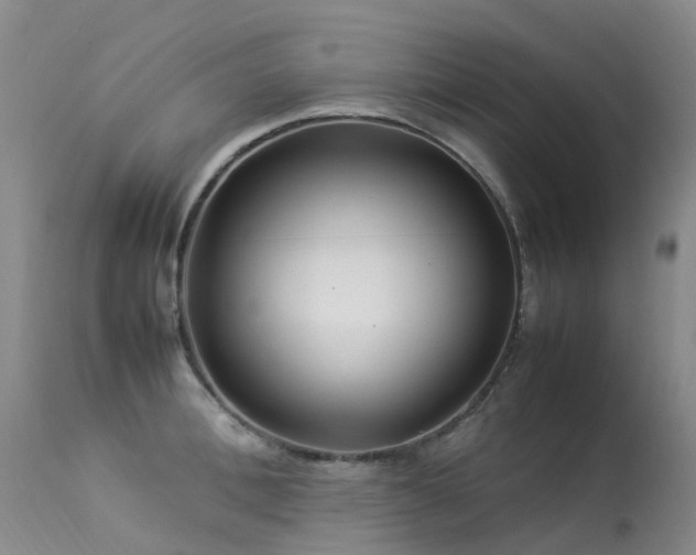 X0000113620996200909251202